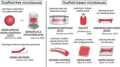 Human Engineered Heart Tissue Models for Disease Modeling and Drug Discovery